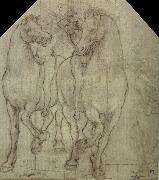Leonardo  Da Vinci Horses with horsemen oil on canvas
